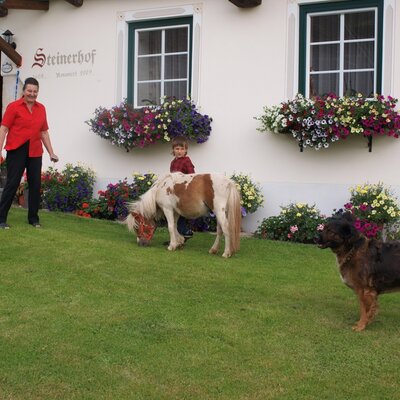 Oma Linde, Robin mit Camelot und Aika