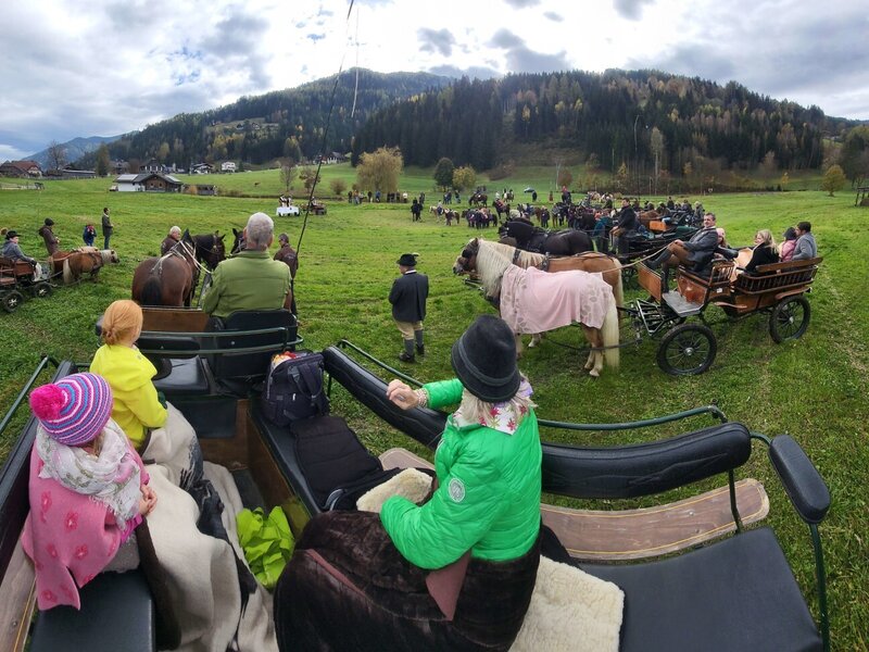 Pferdekutschen auf den Feldern des Bauernhofs mit Blick auf die bewaldeten Hügel und ländliche Umgebung.