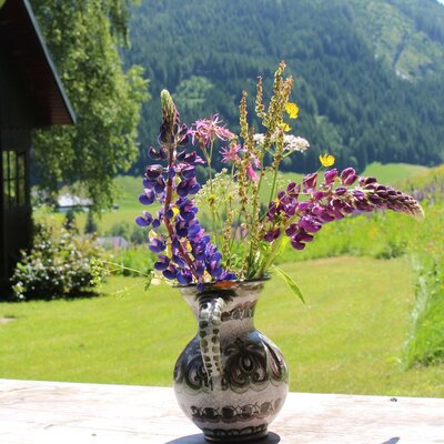 Im Garten erblüht im Sommer alles