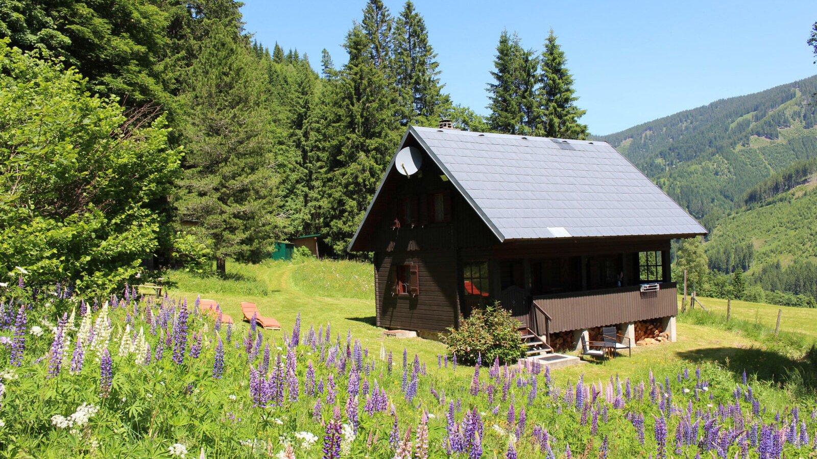 Hütte Triebentalblick im Sommer