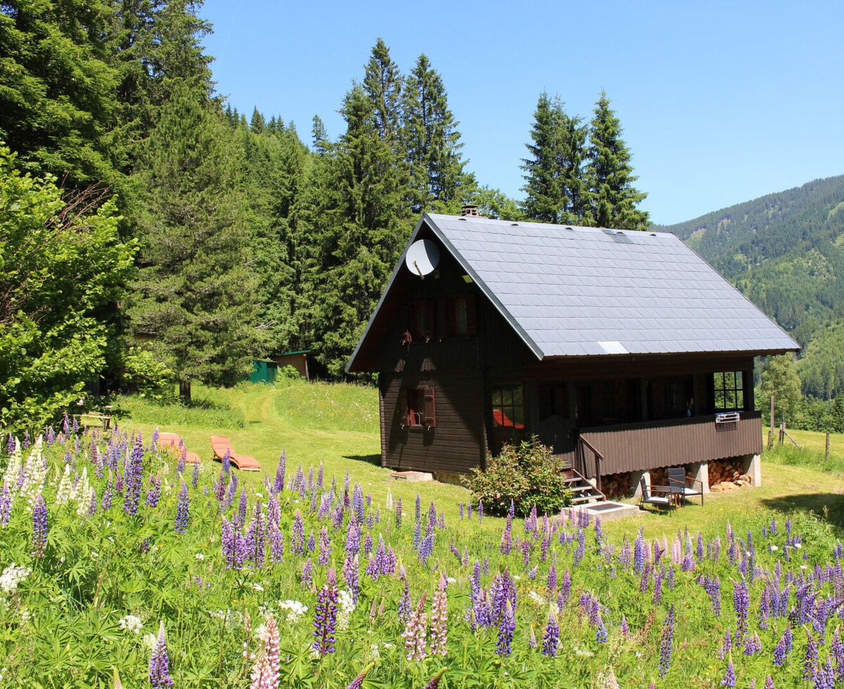 Hütte Triebentalblick im Sommer Hütte Triebentalblick im Sommer