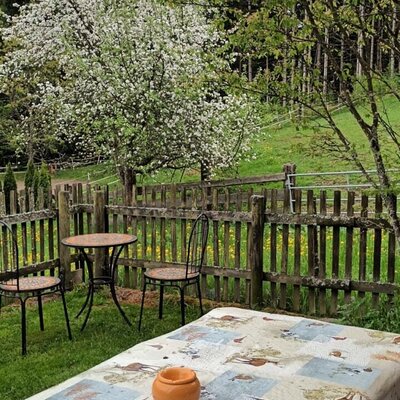 Aussicht auf blühende Apfelbäume