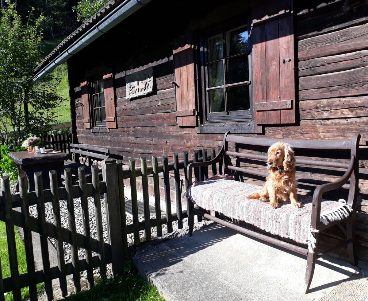 Die Ostseite mit eingezäuntem Garten