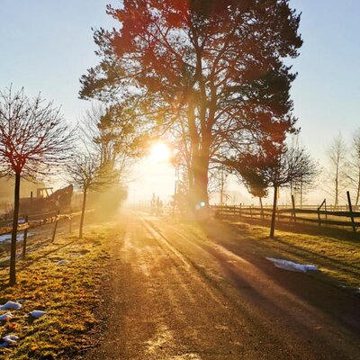 Ein von der tief stehenden Sonne beschienener Feldweg mit Bäumen und Holzzaun in der Umgebung des Bauernhofs.
