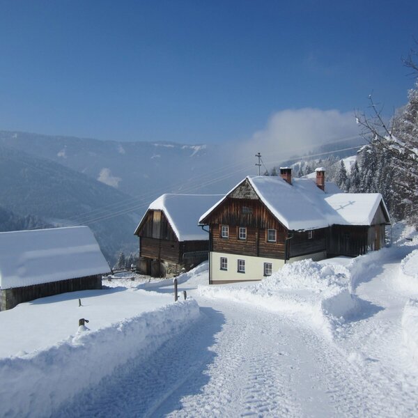 Winterurlaub in der Almhütte