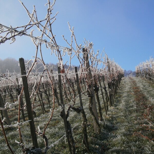 Winterruhe