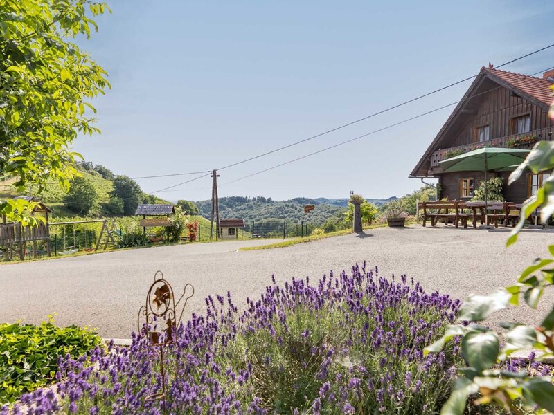 Sommerurlaub am Weingut & Buschenschank Pölzl in Alleinlage an der Südsteirischen Weinstraße