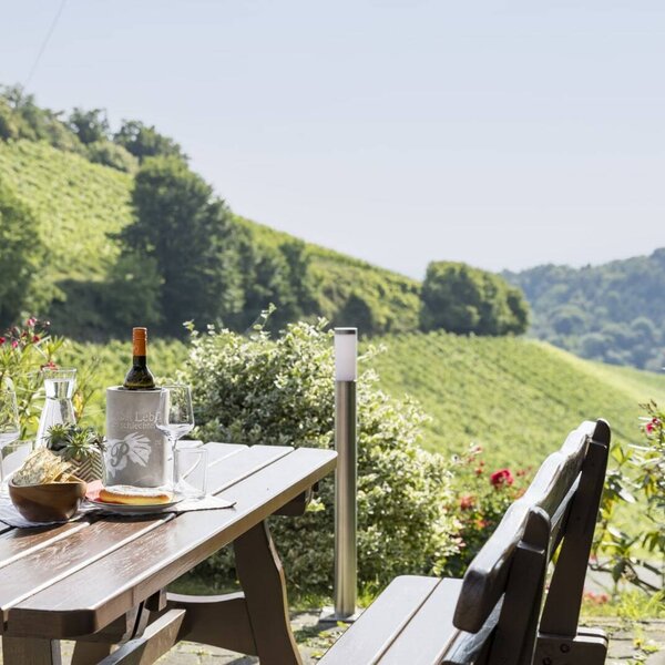 Weingut & Buschenschank Pölzl, Südsteiermark, Terrasse mit Ausblick auf die Weinberge beim Weingut & Buschenschank Pölzl