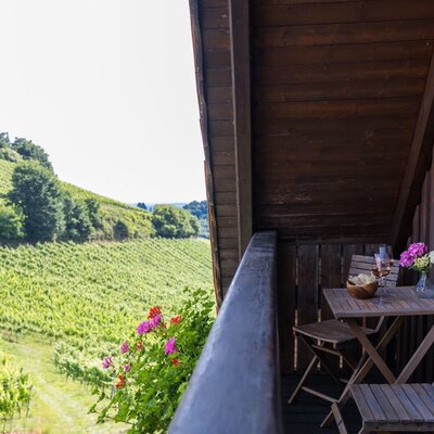 Balkon mit Blick in die Weinberge beim Weingut & Buschenschank Pölzl