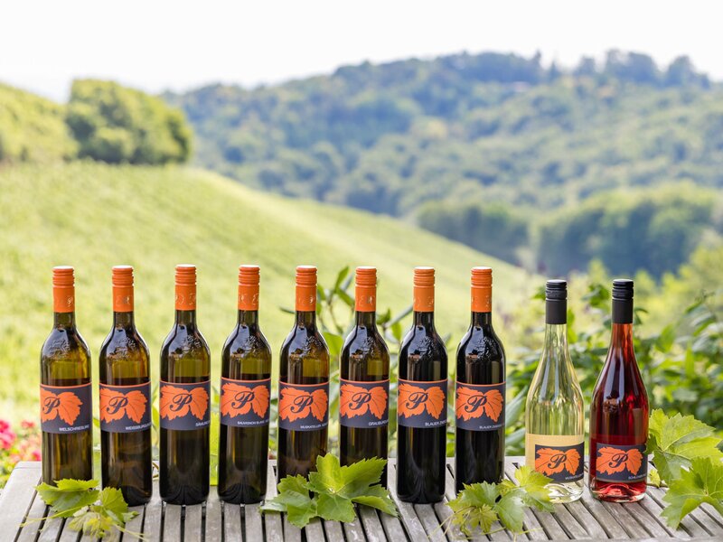 Neuer Jahrgang 2025 vom Weingut Pölzl in der Südsteiermark