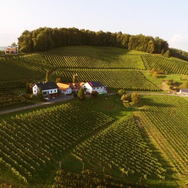 Der Hof mit seinen Gebäuden, eingebettet in weite Weinberge.