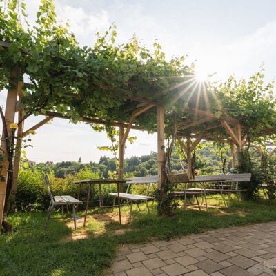 Sitzbereich im Freien unter einer mit Weinreben bewachsenen Pergola mit Tischen und Bänken im Haus.
