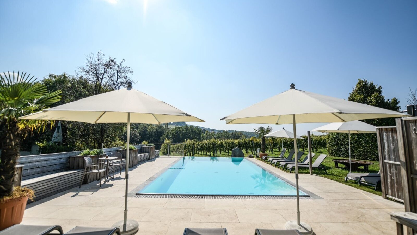 Der hauseigene Pool mit Blick in den Weingarten