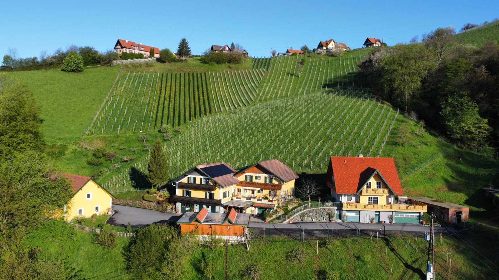 Das Haus befindet sich in einer grünen Hügellandschaft mit umliegenden Weinbergen.