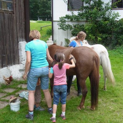 Auf dem Bauernhof können Kinder Pferde striegeln und weitere Tiere wie Hühner erleben.