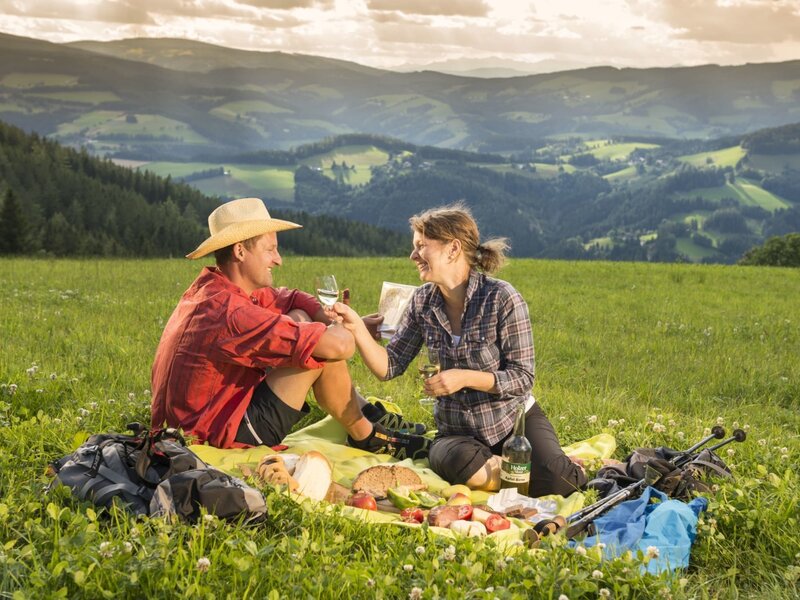 Picknick