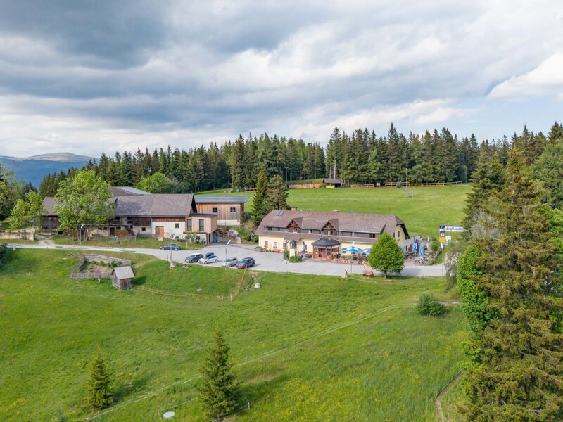 Blick auf den einladenden Bauernhof, umgeben von weitläufigen grünen Wiesen und dichten Wäldern.