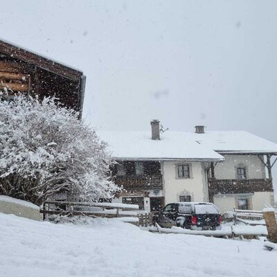 Sanfter Schneefall am Alfaierhof sorgt für eine besonders stimmungsvolle Winteratmosphäre.