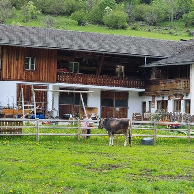 So sieht Urlaub am Bauernhof aus. Natur, Tiere und ganz viel Platz zum Entdecken direkt vor der Haustüre.