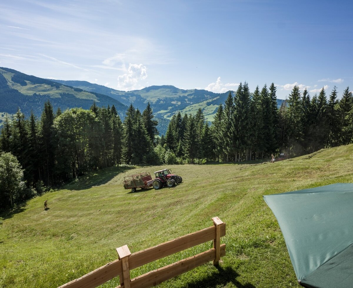 Herrliche Aussicht auf die Kitzbüheler Alpen
