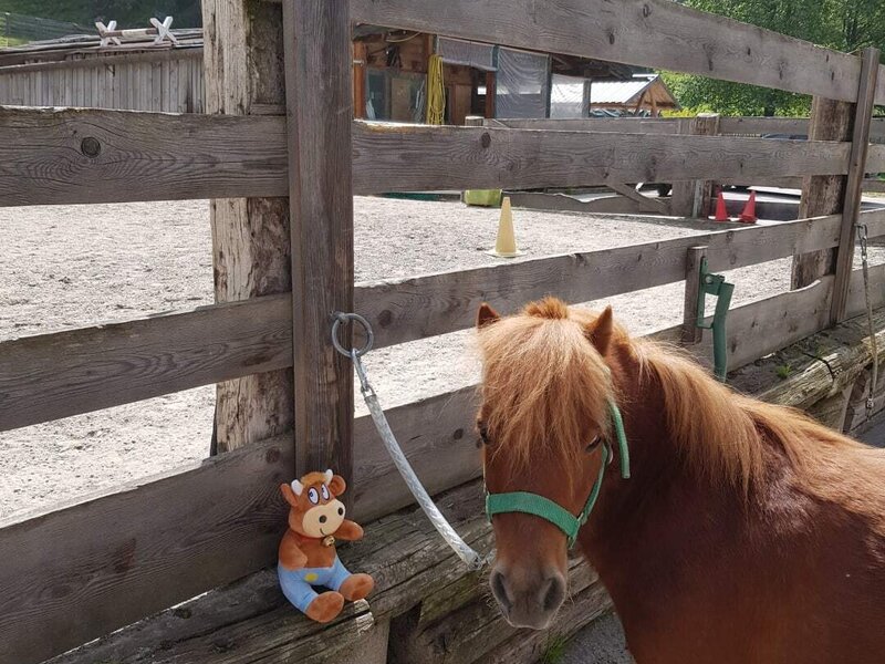 Bigben wartet schon auf dich!