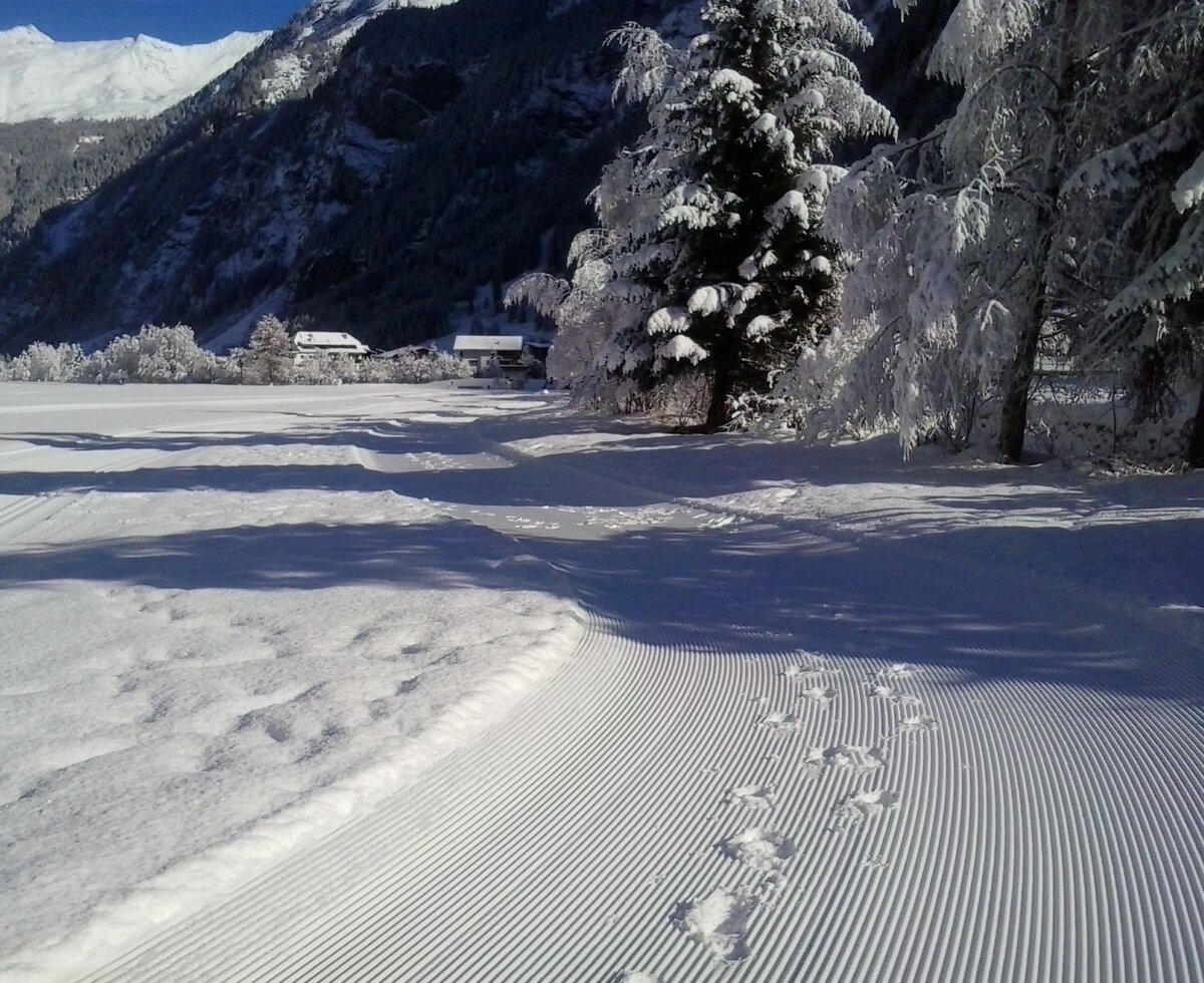 Spuren im Schnee