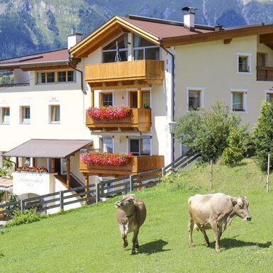 Der Bauernhof von außen, mit blümengeschmückten Balkonen, Kühen auf der Weide und Bergblick.