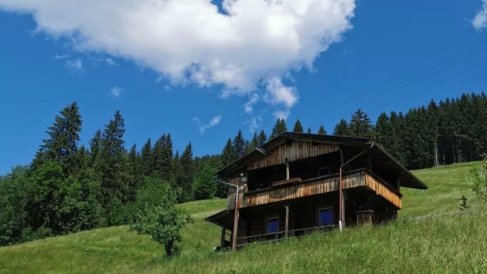 Die Alm ist ein Holzgebäude auf einem grünen Wiesenhang, umgeben von Wald.