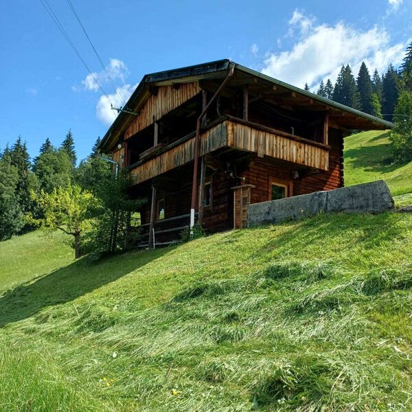 Die urige Alm liegt auf einem sonnigen Grashang, umgeben von grünen Wäldern unter blauem Himmel.