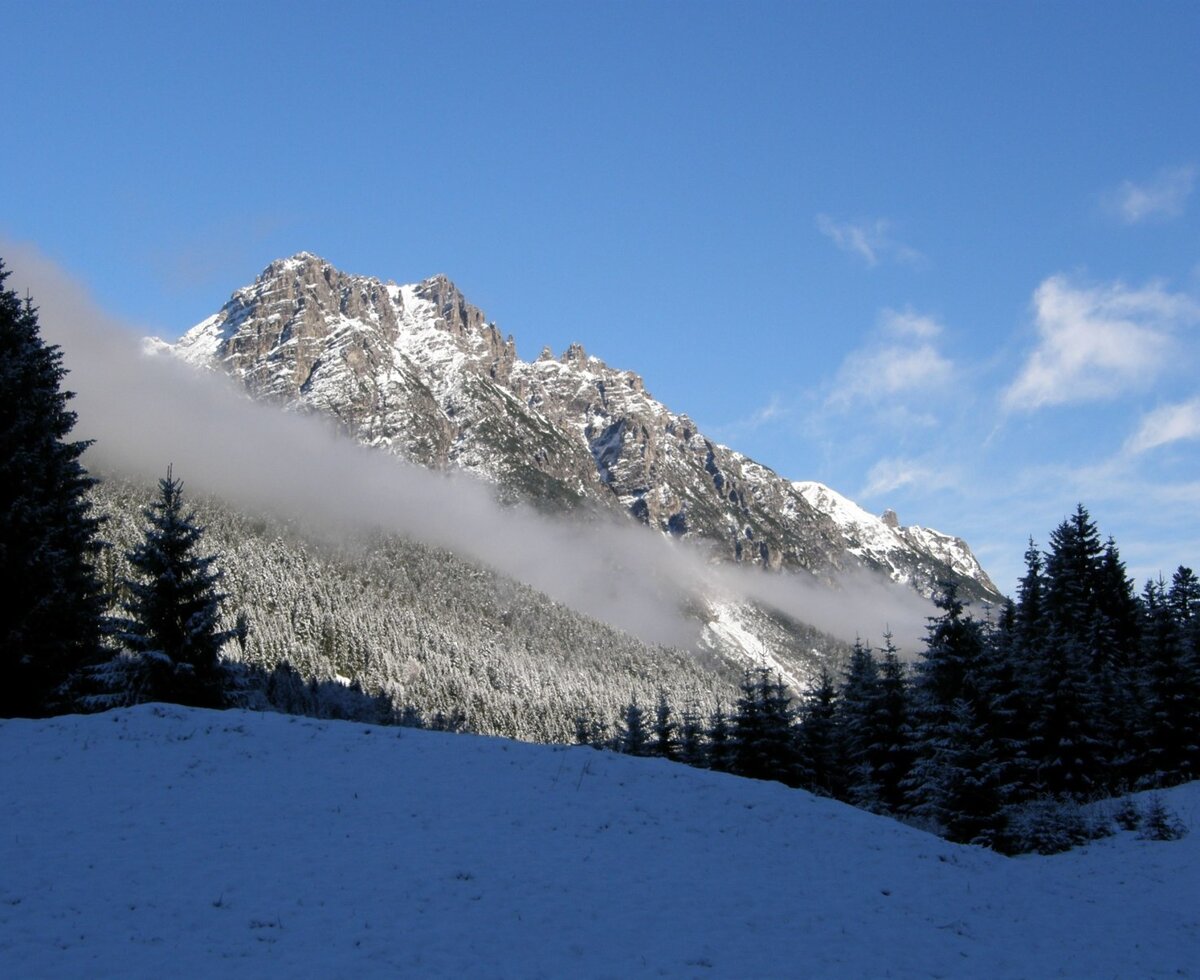 Natur bewusst erleben. Berghof am Schwand, Schneewandern