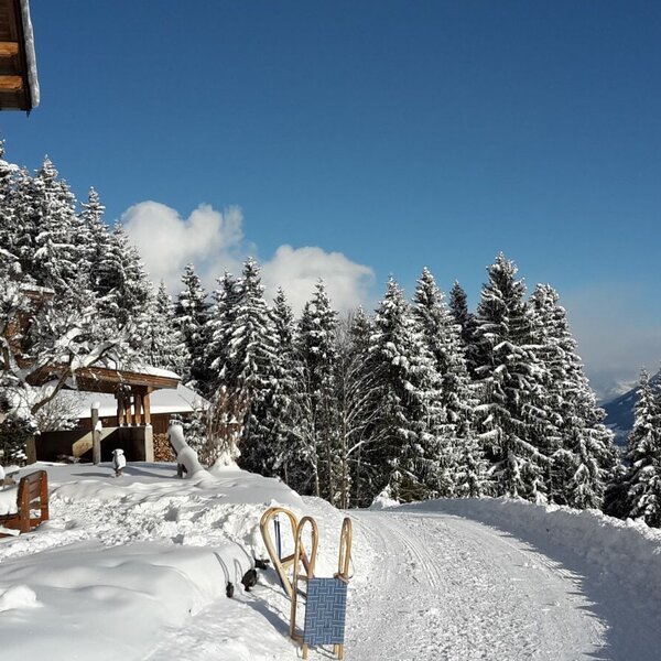 Winter 2017