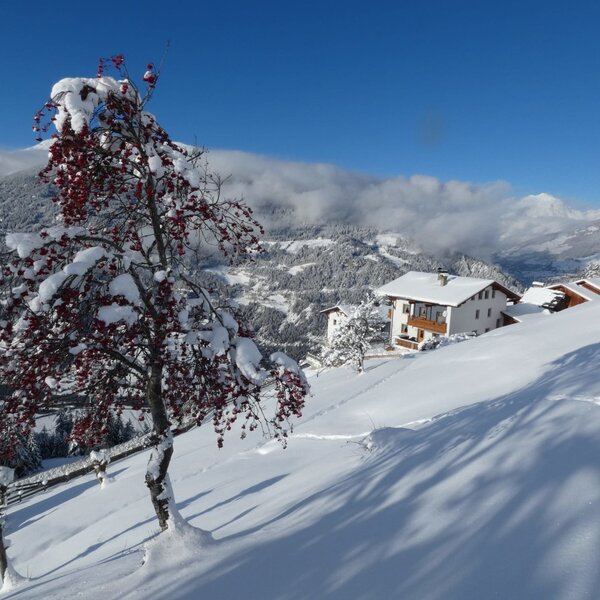 Biohof Inntalblick, eingebettet im Winterweiß