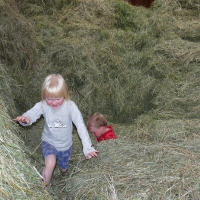 Futtervorrat für unsere Tiere, gerne möchten wir ihnen diesen Wert mit allen Sinnen vom Grassamen bis zum Futtertisch weitergeben,Biohof Inntalblick