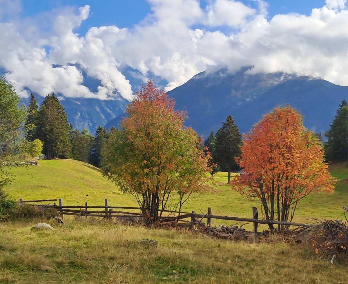 Es wird bunt, genießen Sie den Herbst, Biohof Inntalblick