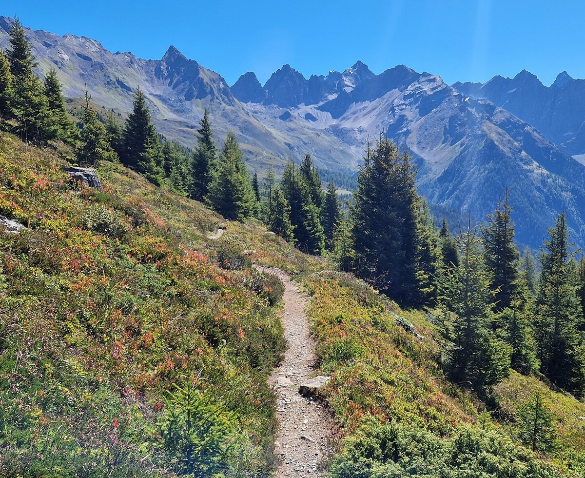 Wanderweg mitten in der Natur, einladend zum Entdecken, Biohof-Inntalblick
