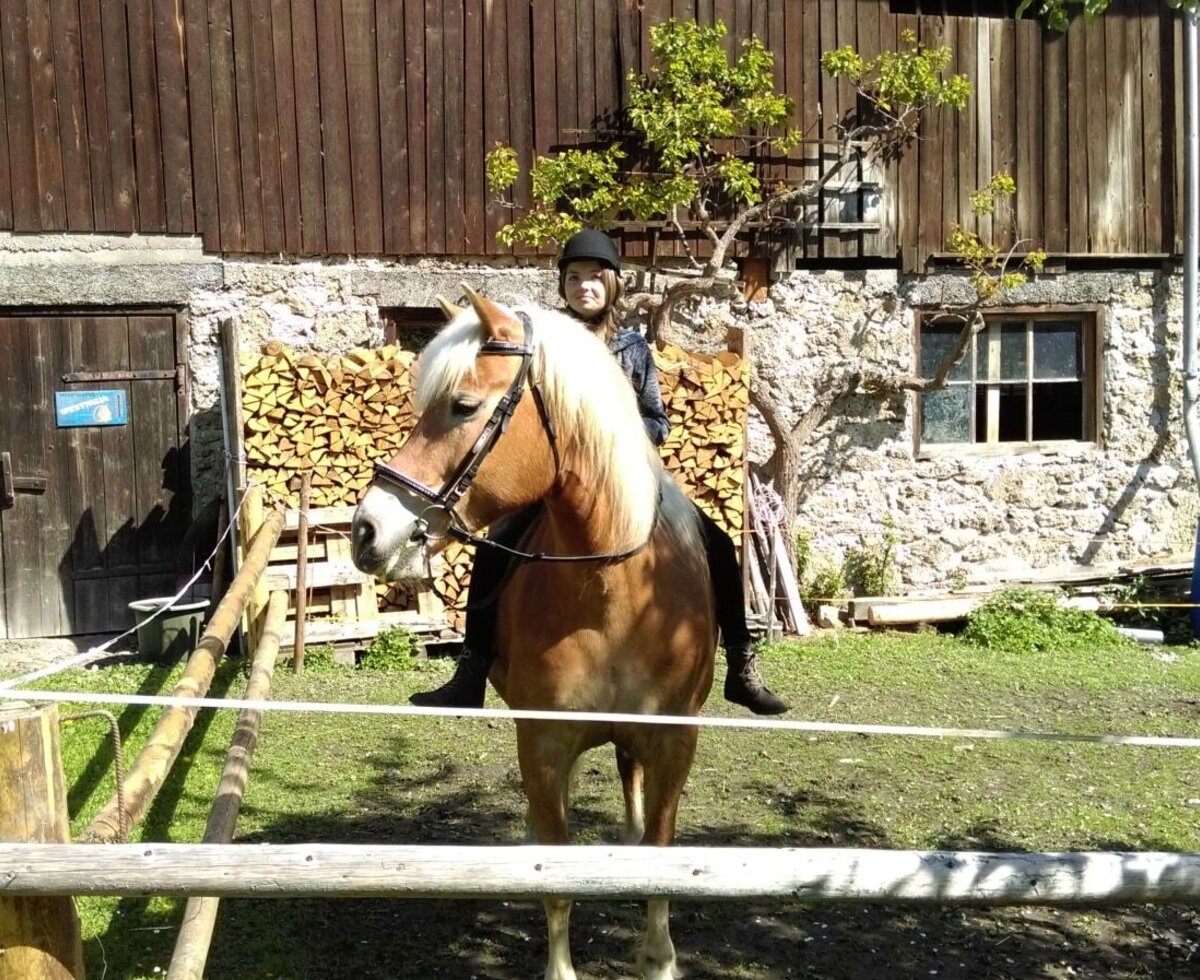 Eine Person auf einem Pferd vor dem Almgebäude mit Stein- und Holzfassade und gestapeltem Brennholz.