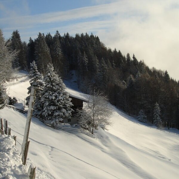 winter