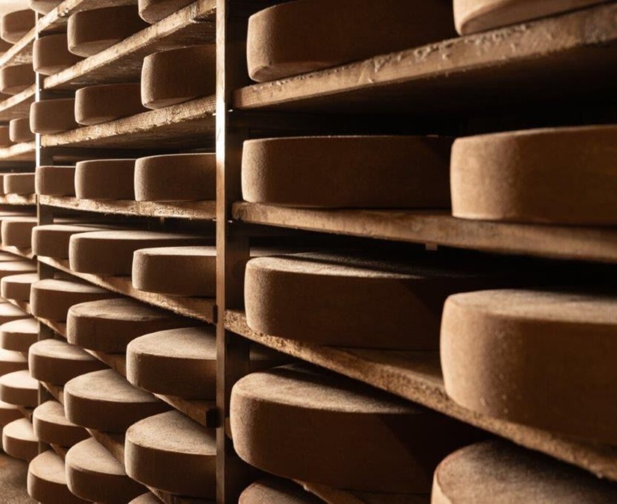 Traditionell gereifter Almkäse auf den Holzregalen auf unserer Gemeinschaftsalm Niederkaseralm