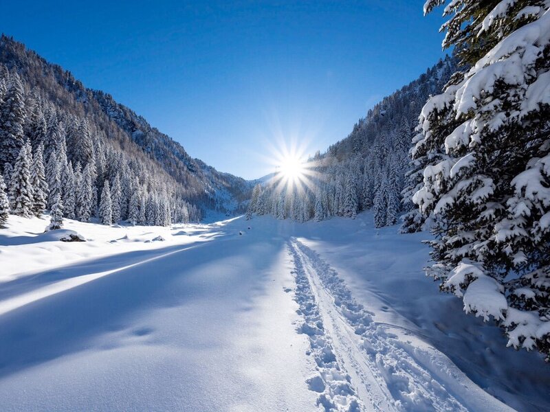 Winter im Nationalpark