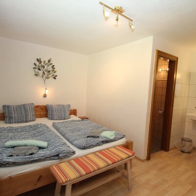 Schlafzimmer im Bauernhof mit Doppelbett, Fernseher, Waschbecken und Zugang zu DU/WC.