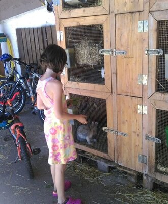 Auf dem Bauernhof können Kinder Kaninchen in ihren Ställen besuchen.