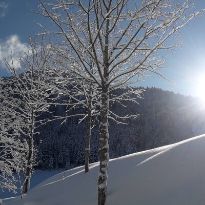 Winterwanderweg