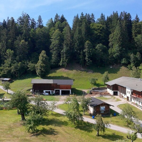 Der einladende Bauernhof, eingebettet in eine idyllische Wiesenlandschaft am Waldrand.