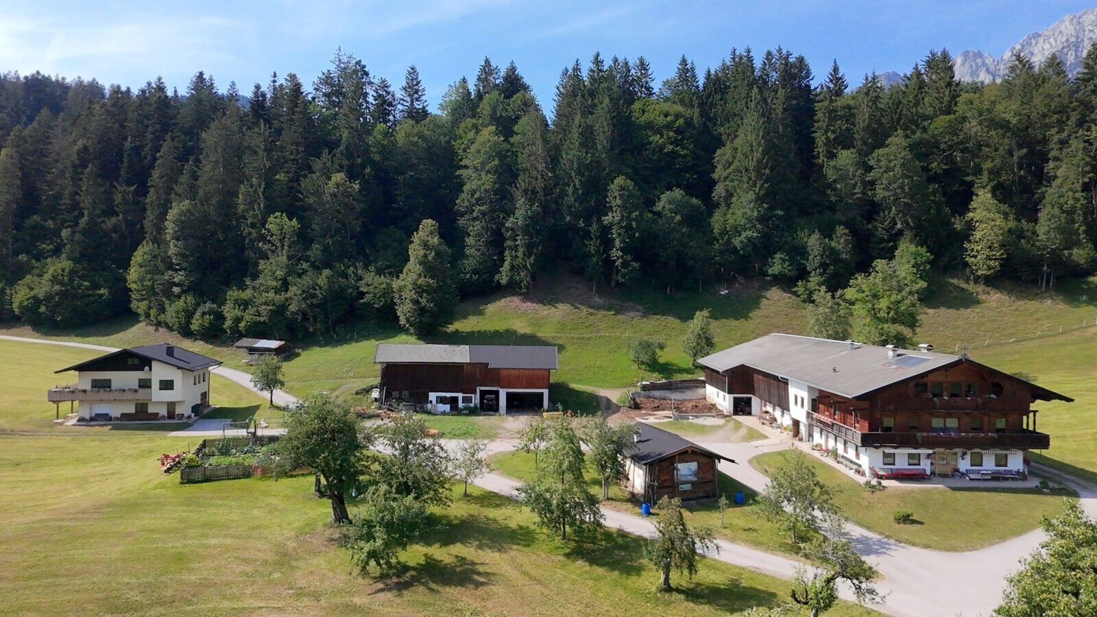 Der einladende Bauernhof, eingebettet in eine idyllische Wiesenlandschaft am Waldrand.