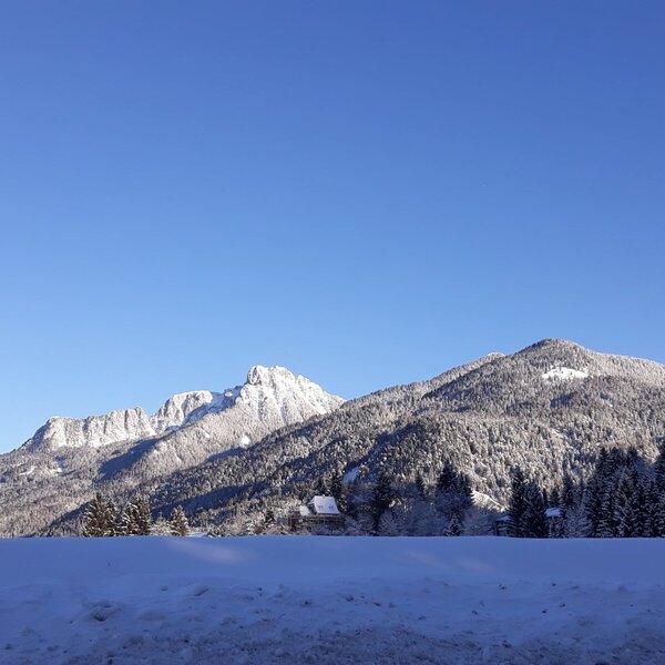 Blick auf schneebedeckte Berge und Wälder unter klarem blauem Himmel.