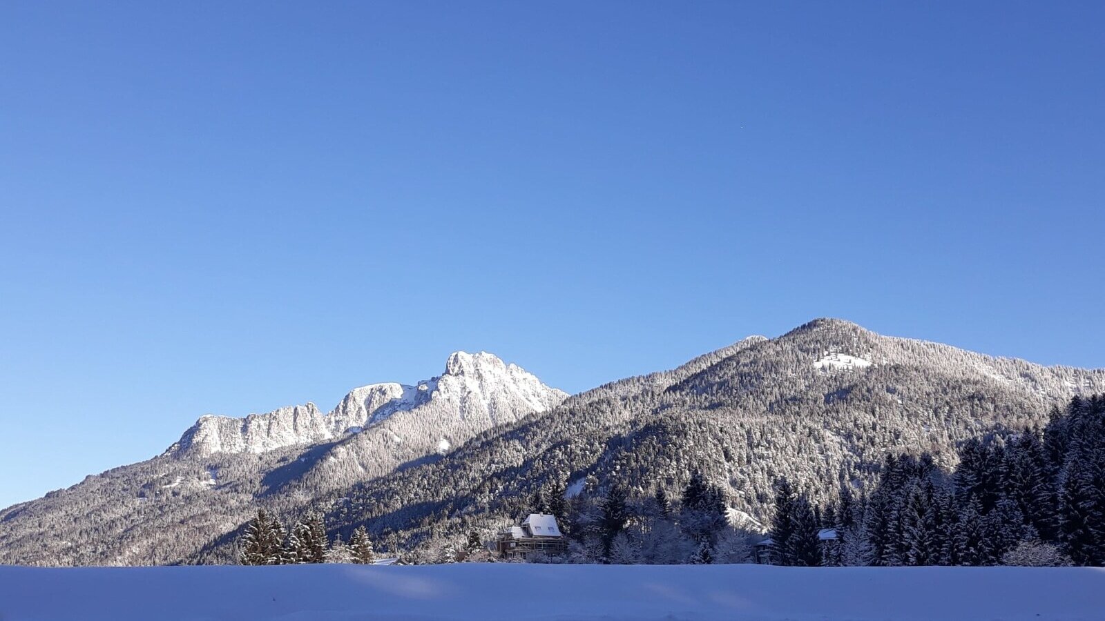 Blick auf schneebedeckte Berge und Wälder unter klarem blauem Himmel.
