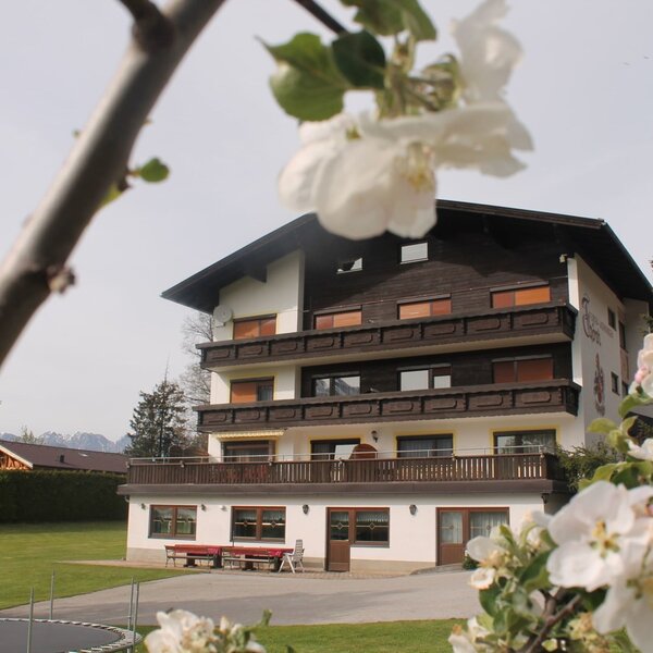 Frühling in Fewo Thöni
