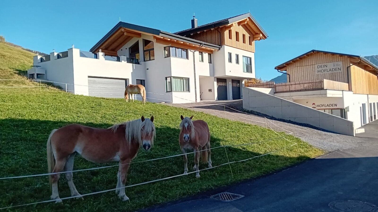 Außenansicht der Ferienwohnung mit angrenzendem Hofladen und Pferden auf der Wiese.