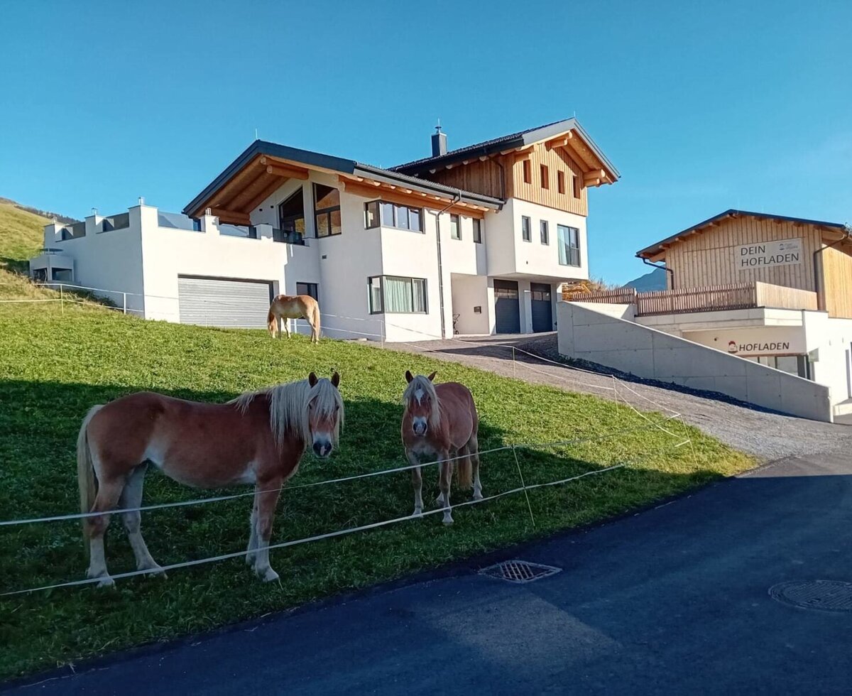 Außenansicht der Ferienwohnung mit angrenzendem Hofladen und Pferden auf der Wiese.