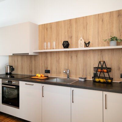 Moderne Küche der Ferienwohnung mit Backofen, Induktionskochfeld, Spüle, Kühlschrank, Wasserkocher und Kaffeemaschine.